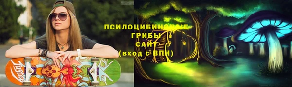 стаф Алзамай